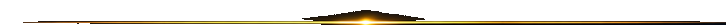 gold divider